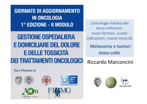 Marconcini - Briefing Studio Srl