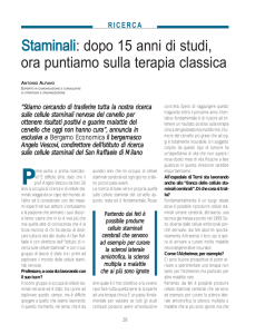 Bergamo Economica n. 3/2006: Staminali