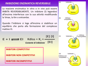 lezioni_2016-enzimi2