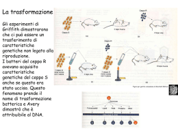 Ppt - Zanichelli Online Per La Scuola