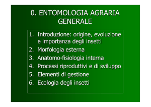 0. ENTOMOLOGIA AGRARIA GENERALE