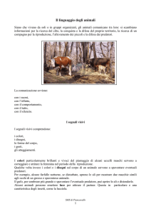 Il linguaggio degli animali - Scuola Media di Piancavallo