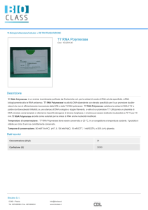 Stampa PDF - Bioclass Srl