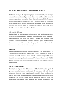 LGMD2B - Fondazione Malattie Miotoniche
