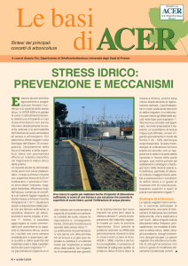stress idrico: prevenzione e meccanismi