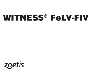 Witness Felv