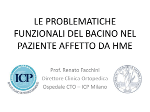 prof. Renato Facchini