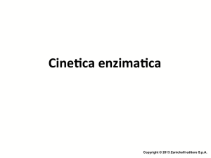 LEZ 03 Cinetica Enzimatica BME ODDI - Progetto e