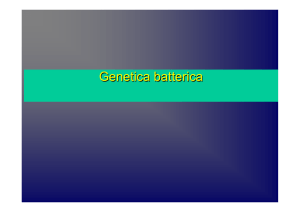 4-Genetica batterica