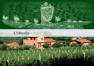 azienda vinicola OLIVELLA