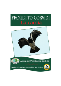 Progetto Corvidi - Arci Caccia Umbria