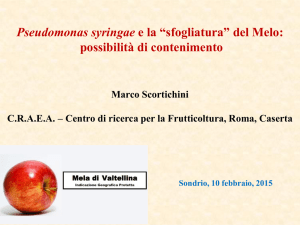Diapositiva 1 - Fondazione Fojanini