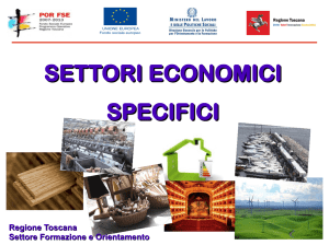 settori economici specifici