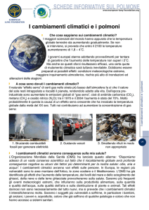 schede informative sul polmone - Health and Environment Alliance