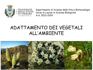 Lez1_Adattamento vegetali all`ambiente2013-14