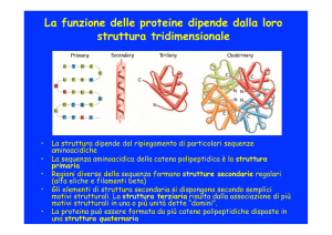 motivi strutturali - Structural Biology