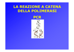 LA REAZIONE A CATENA DELLA POLIMERASI PCR