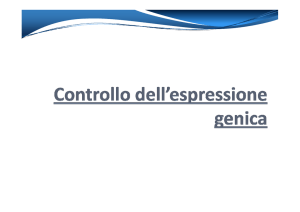 Lezione7_Controllo dell`espressione genica