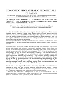 Parietaria mottle virus - Consorzio Fitosanitario di Parma