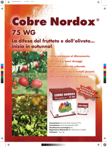Cobre Nordox® 75 WG