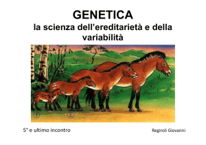Genetuca 5