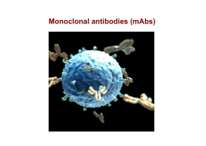 Monoclonal antibodies (mAbs)