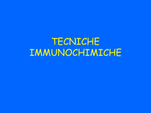 tecniche immunochimiche - Progetto e