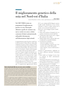 Il miglioramento genetico della soia nel Nord-est d`Italia