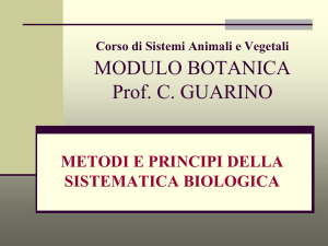 Metodi e principi della sistematica biologica