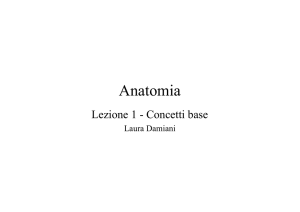 Anatomia - Laura Damiani