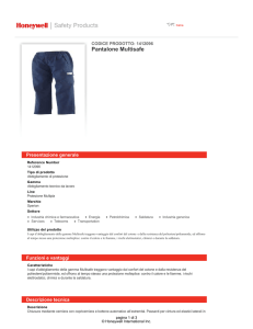 Pantalone Multisafe - Honeywell Safety Products
