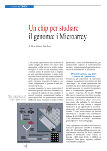 Un chip per studiare il genoma: i Microarray
