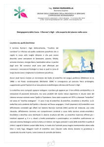 articolo 01 - Ordine degli Ingegneri della Provincia di Bergamo