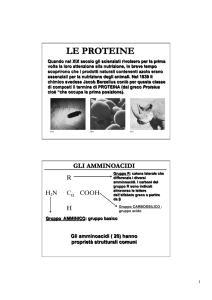 2 le proteine struttura 1 - Progetto e