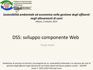 DSS sviluppo componente Web