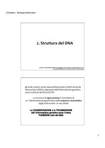 2.struttura del DNA - Progetto e