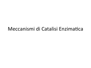 Meccanismi di Catalisi Enzima,ca - Progetto e