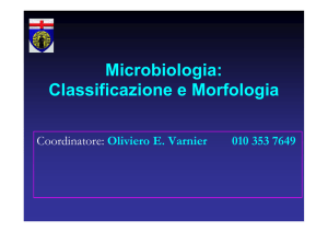 Microbiologia: Classificazione e Morfologia