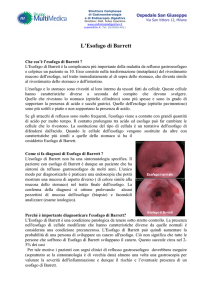 L`Esofago di Barrett - Endoscopiadigestiva.it di Felice Cosentino