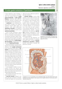 Il tratto gastro-enterico e il peritoneo