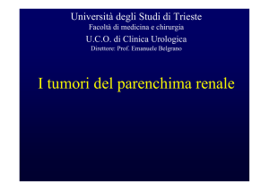 Presentazione di PowerPoint - Università degli studi di Trieste
