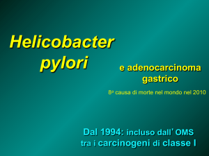 Helicobacter File