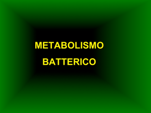 Metabolismo batterico File