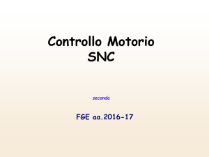10_CM_SNC 2 - univr dsnm