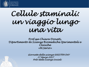 Diapositiva 1 - Università degli Studi di Firenze