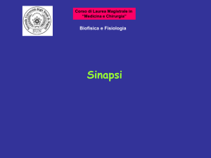 Diapositiva 1 - Dipartimento di Biochimica Biofisica e Patologia