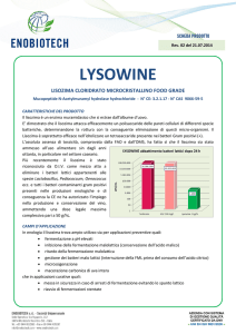 lysowine - Enobiotech
