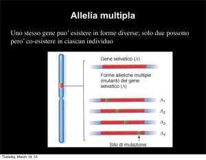 4 DEV_mendel e mitocondriale_2013