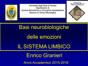 Il sistema limbico - Sito dei docenti di Unife