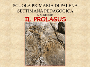 Il prolagus - Istituto Comprensivo di Palena